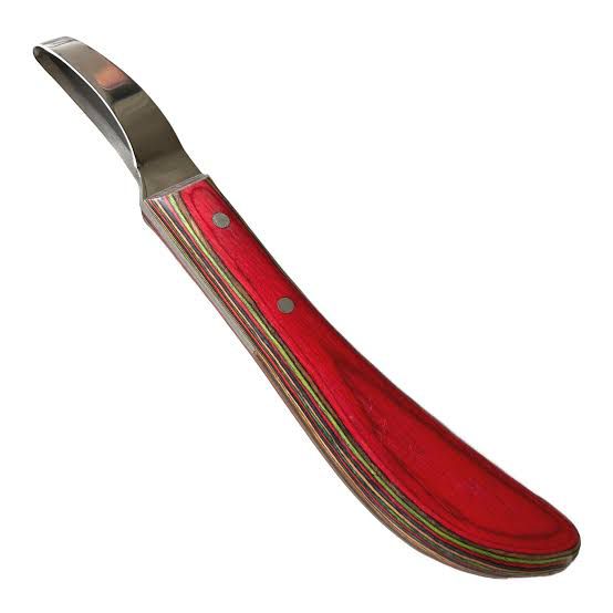 Curved hoof knife with layered red handle for veterinary hoof trimming and care