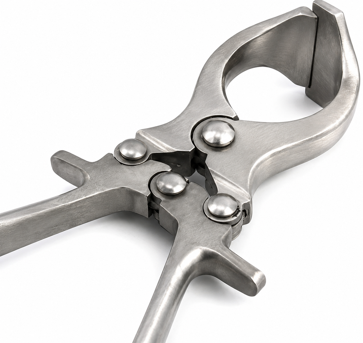 Burdizzo Castration Forceps 9" crushing jaw close-up detail