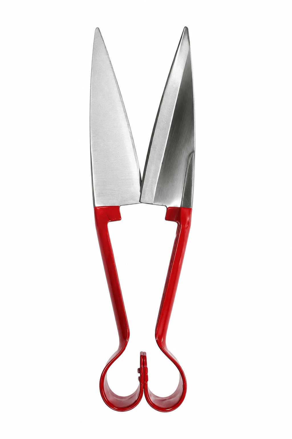 Sheep Shears 6 1/2" – full veterinary surgical instrument view